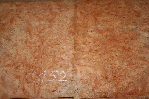 Rüster veneer elm - -,