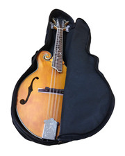 Caraya SMA938 F-Style