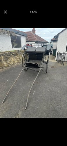 Horse cart trap pony - horse, trap,