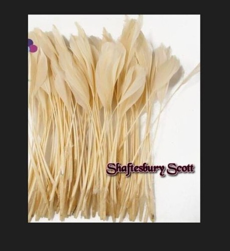 Long feathers for hats - x, 10