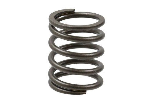 Outer valve spring for - spring, (large)