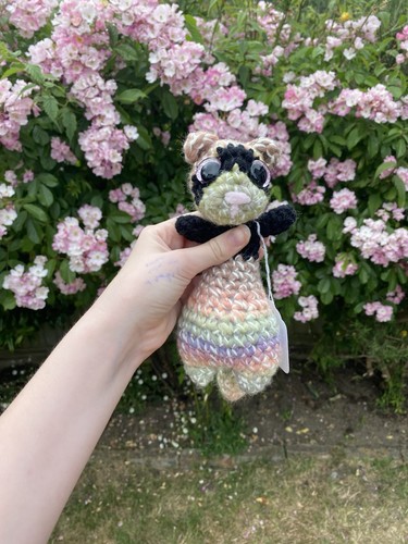 Crochet rainbow ferret plushie - rainbow,