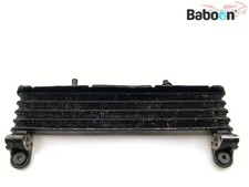 Oil Cooler Yamaha FJ 1200