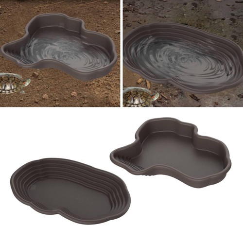 Turtle bathing pool tortoise - pool,