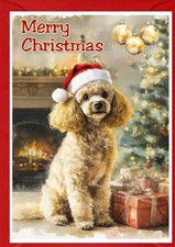 Poodle (Apricot) Dog Christmas