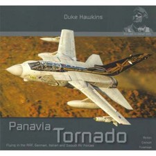 Aircraft detail 005 panavia - in,