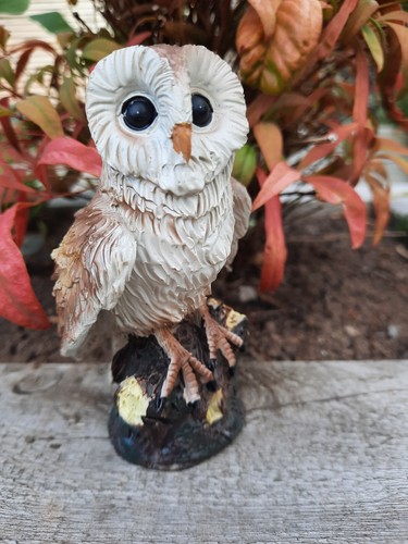 Garden gift owl - owl, indoor