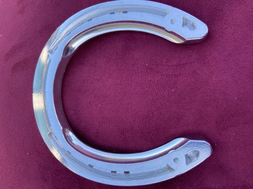 Beautiful aluminium horseshoe - beautiful,