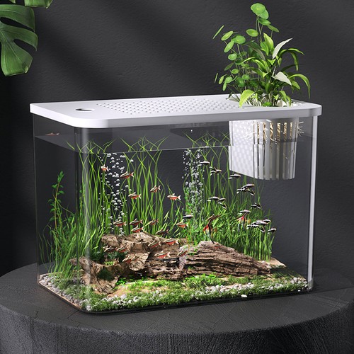 Small fish tank - hg,