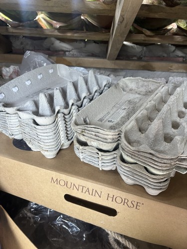 Dozen egg box cartons - dozen,