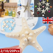 2-20Pcs Natural Sea Star Tiny