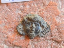 Roman/Saxon Ring Bezel