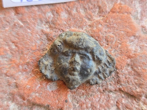 Roman saxon ring bezel - ring,