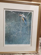 Robert Bateman Greyhooded Kingfisher Print Framed 462/550 - 1997 Signed - Sappi