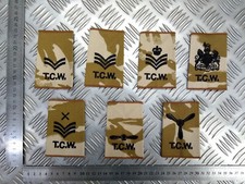 RAF TCW Desert Camo Tactical Communications Wing Epaulette Rank Slides
