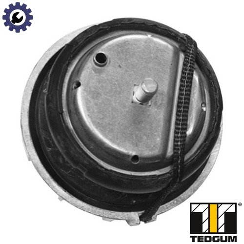 Mounting engine ted46098 - mounting,