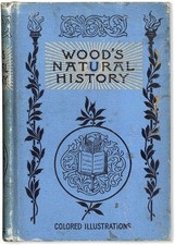J. G. Wood, ILLUSTRATED
