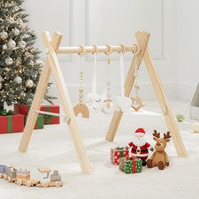 Comfy Cubs Baby Play Gym -