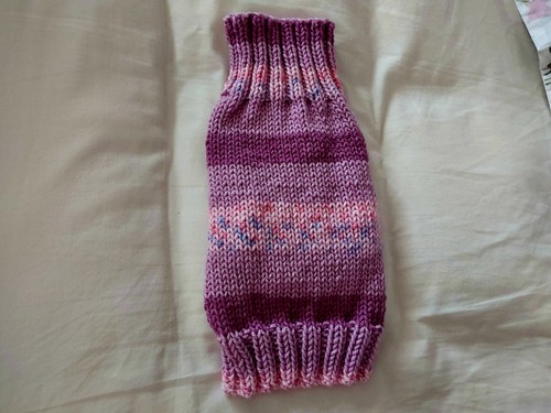 Hand knitted dog - hand, jumper.
