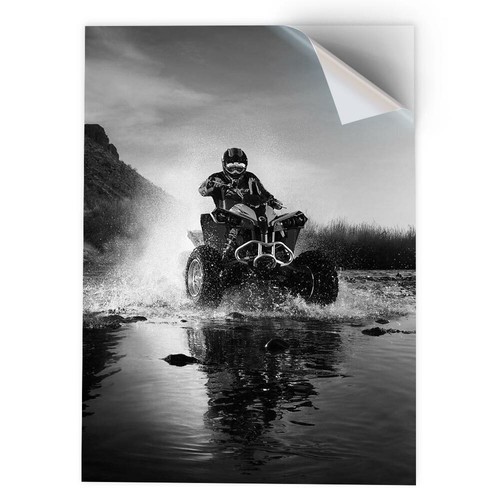 Vinyl sticker bw - sticker,