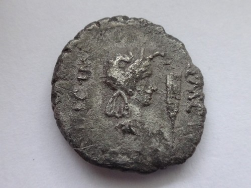 Metellus scipio and eppius - metellus,
