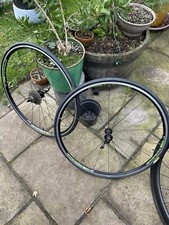 Bontrager Race TLR wheelset 
