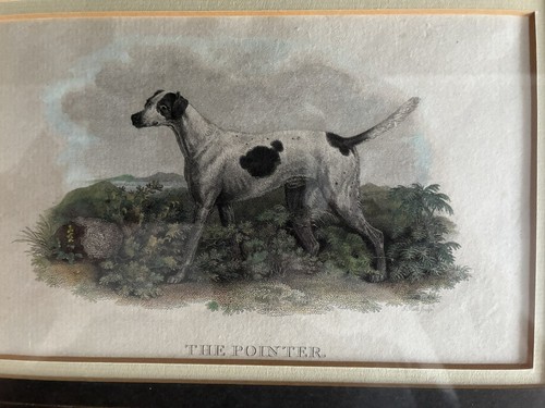 Antique scott colored - scott,