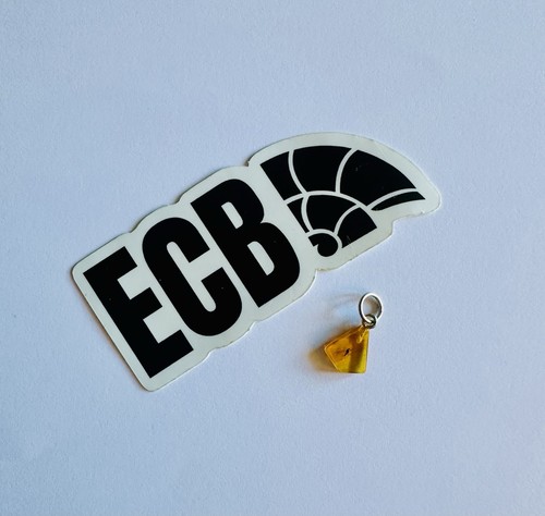 Baltic amber pendant with - amber,