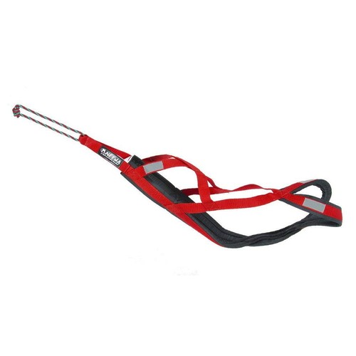 Neewa pro sled dog - neewa,