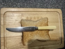 Vintage Butter Knife Faux Bone