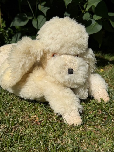 Vintage poodle dog pyjama - dog, case
