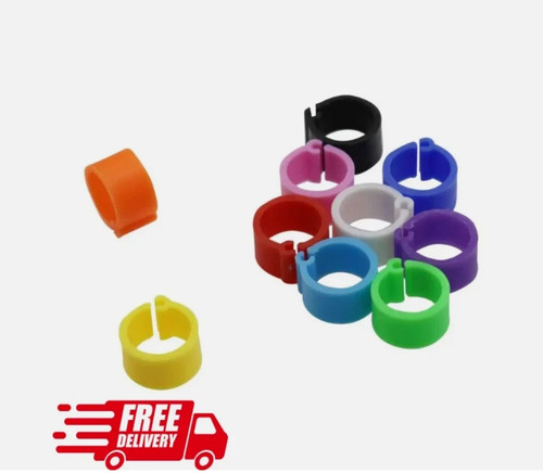 New 100pcs bird rings 8mm - bird,