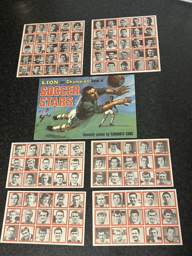 Vintage 1967 lion champion - 1967,