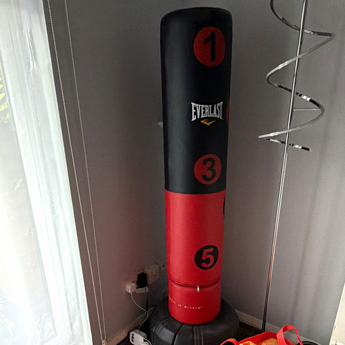 Everlast freestanding punch - freestanding,