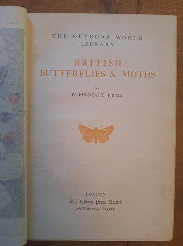 British butterflies and moths - british,