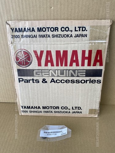 Yamaha ty250zs scottish - yamaha,