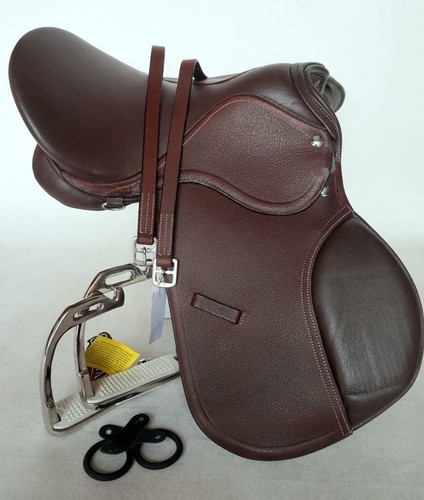 Reg pony english - reg,