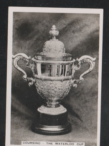 1935 pattreiouex sporting - 1935,