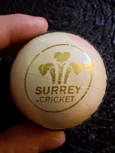 Official surrey ccc - official,