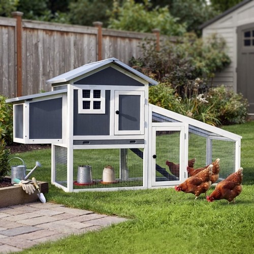 Windsor secure chicken coop - windsor,