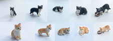 Cat choice colour - choice,