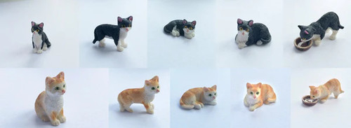 Cat choice colour - colour, &