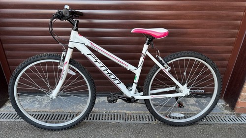 Python rock mountain bike - rock,