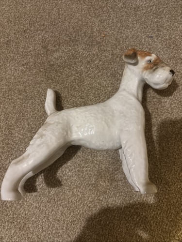 Gorgeous ussr fox terrier dog - gorgeous,