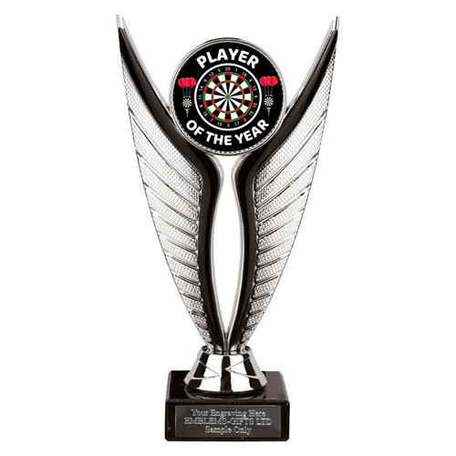Darts player the year - of,