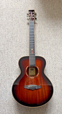 tanglewood TWX1EK  electro