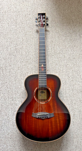 Tanglewood twx1ek electro - tanglewood,