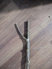 Cherry Walking Stick Blank – DIY Thumb Stick / Shooting Stick / Hiking Staff