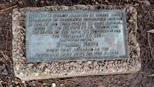 Photo 6x4 plaque under - under, willow