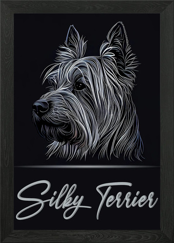 Elegant silky terrier framed - silky,